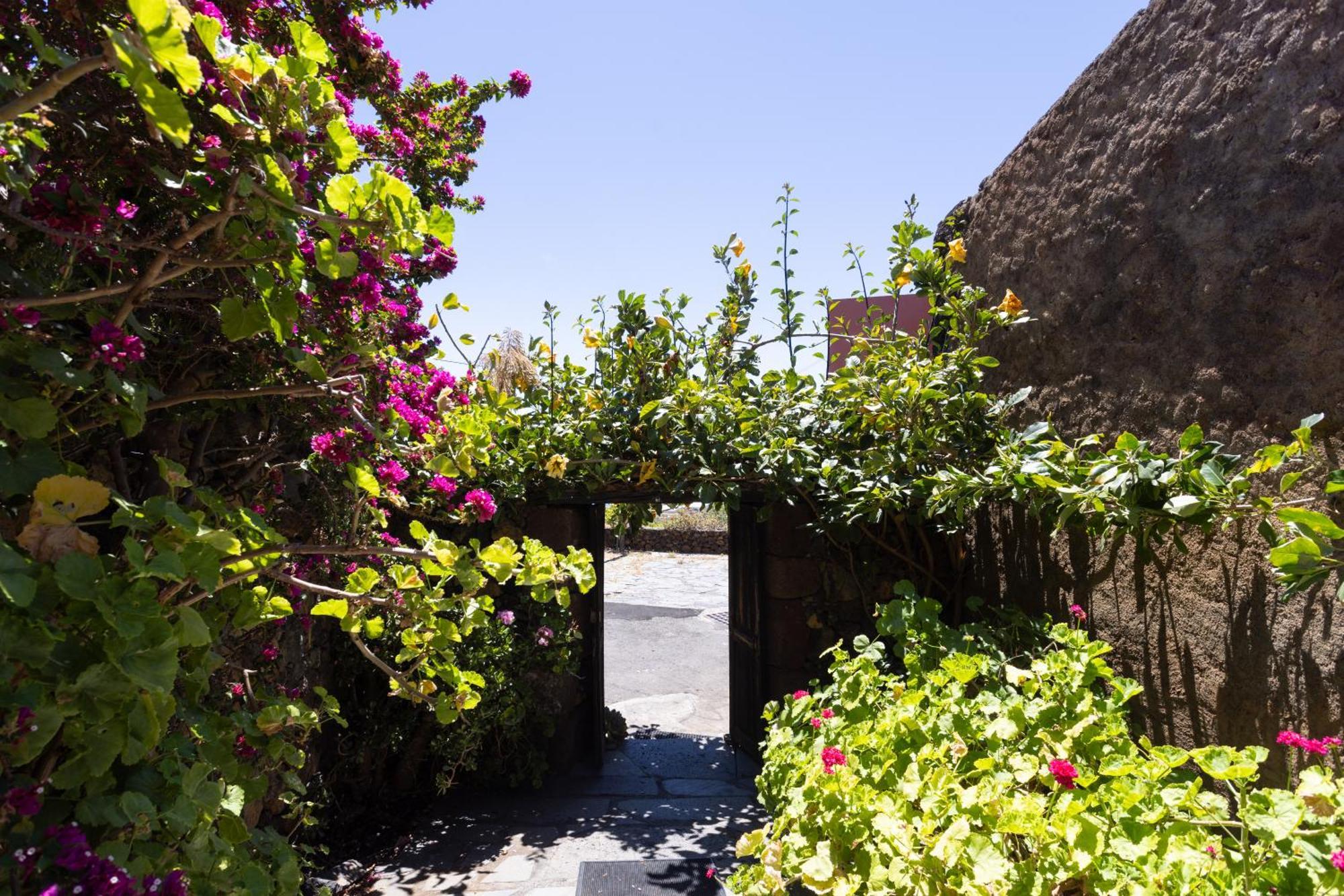 Charming Rustic House El Pinar & Wifi Guest House Eksteriør bilde